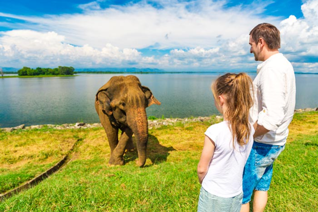 Sri Lanka Tour 10 Day package