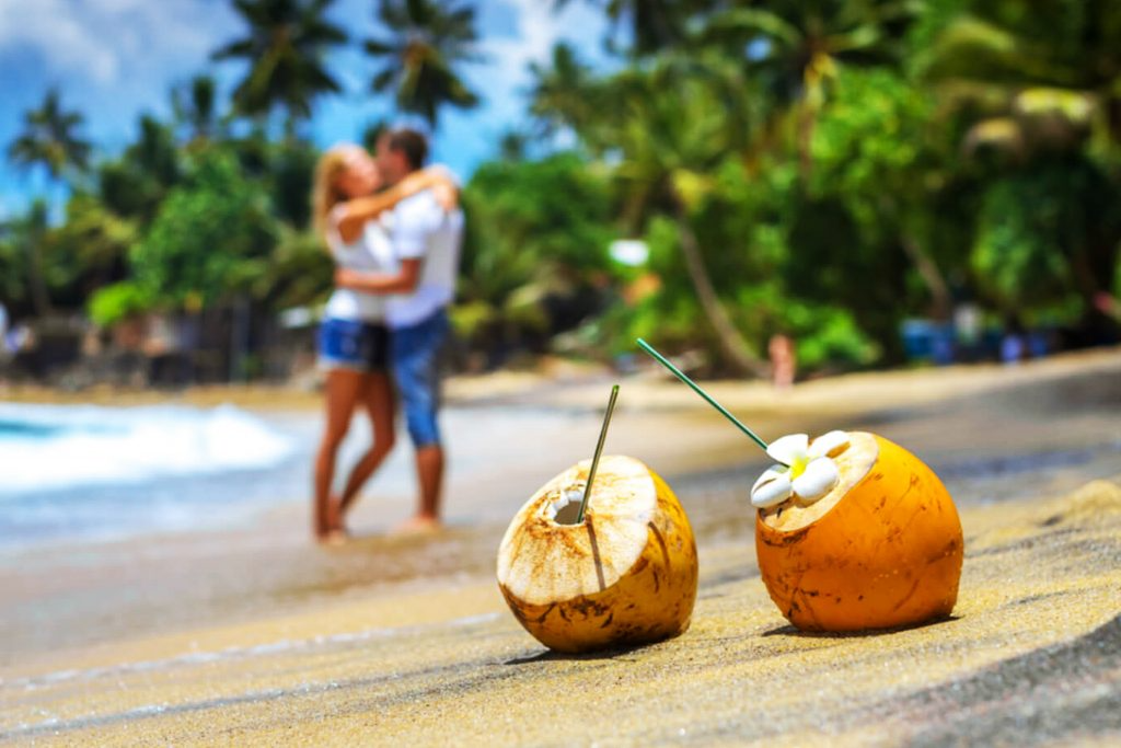 Honey Moon 6 Day Package